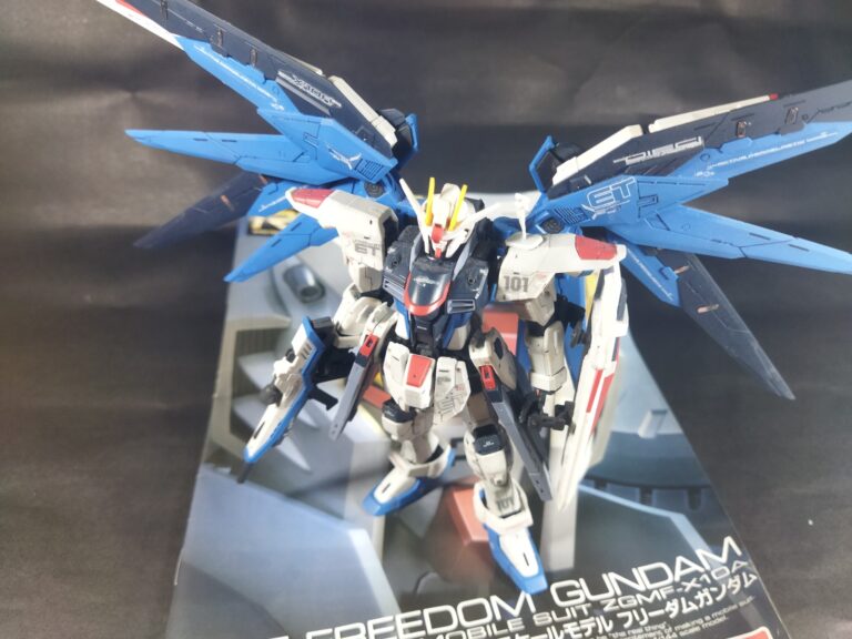 RG Freedom Gundam Review